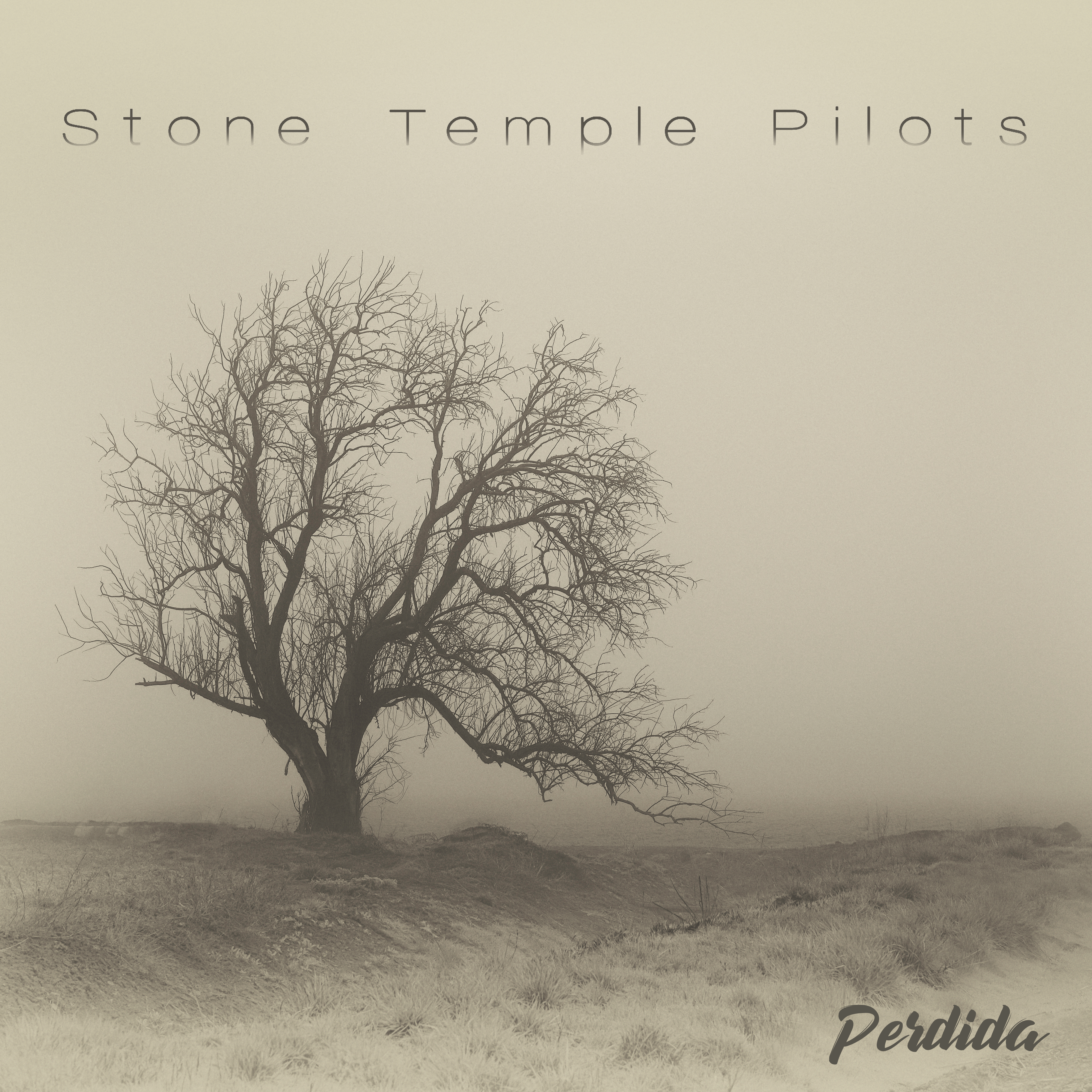 Stone Temple Pilots - Perdida, Vinyl Album
